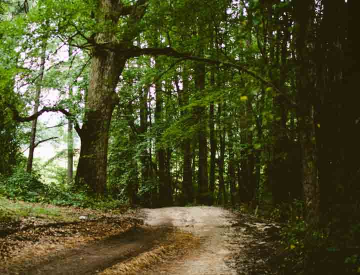 短信轰炸机在线网页版