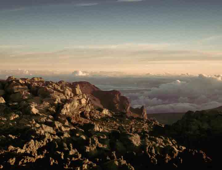 免费短信电话轰炸机